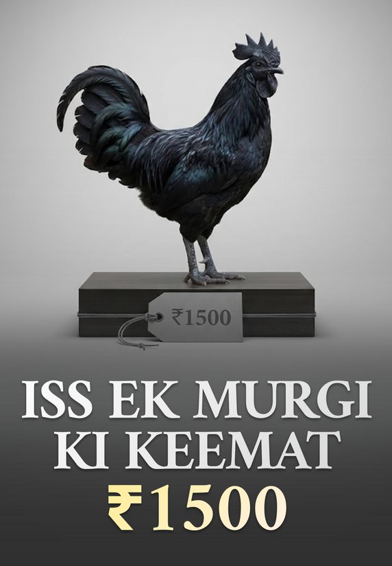 Iss Ek Murgi Ki Keemat ₹1500