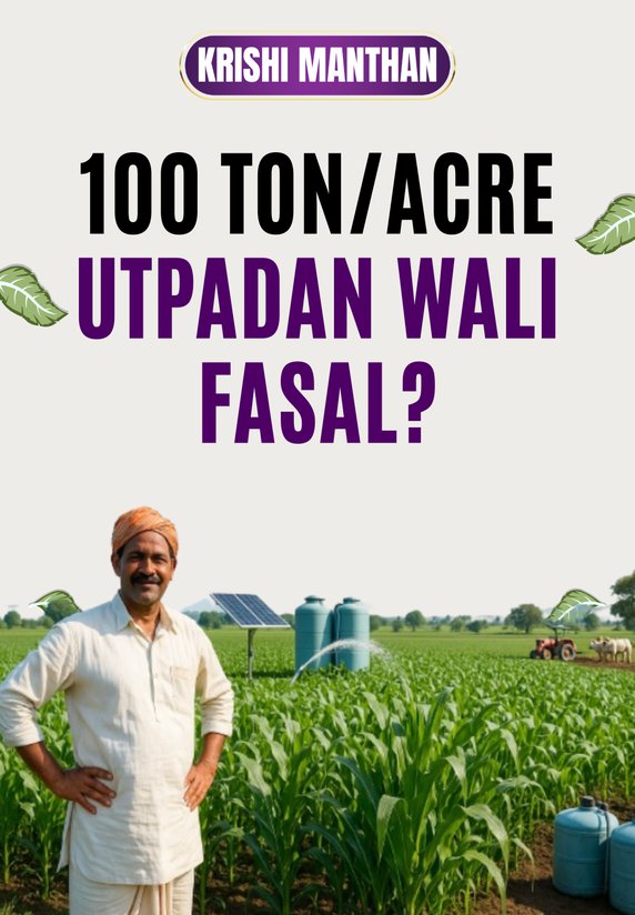 100 Ton/acre Utpadan Wali Fasal?