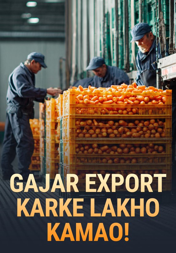 Gajar Export Karke Lakho Kamao!