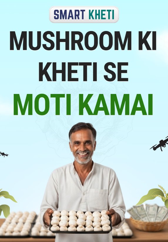 Mushroom Ki Kheti Se Moti Kamai