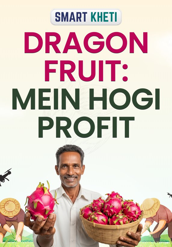 Dragon Fruit: Mein Hogi Profit