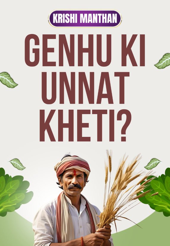 Genhu Ki Unnat Kheti?
