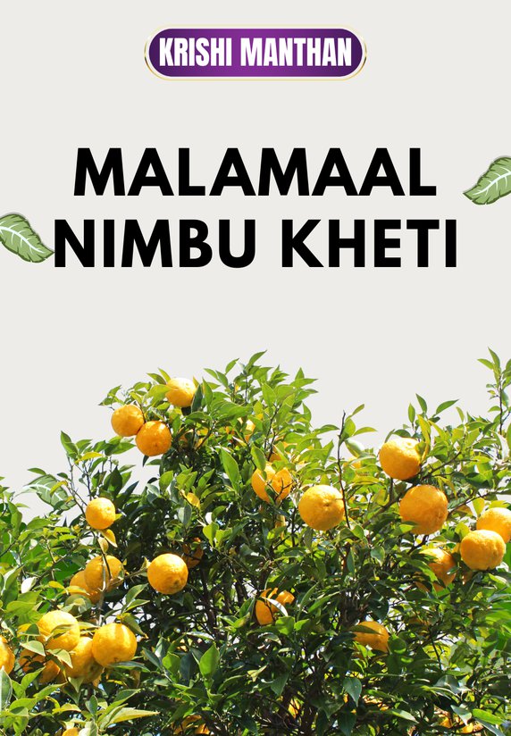 Malamaal Nimbu Kheti