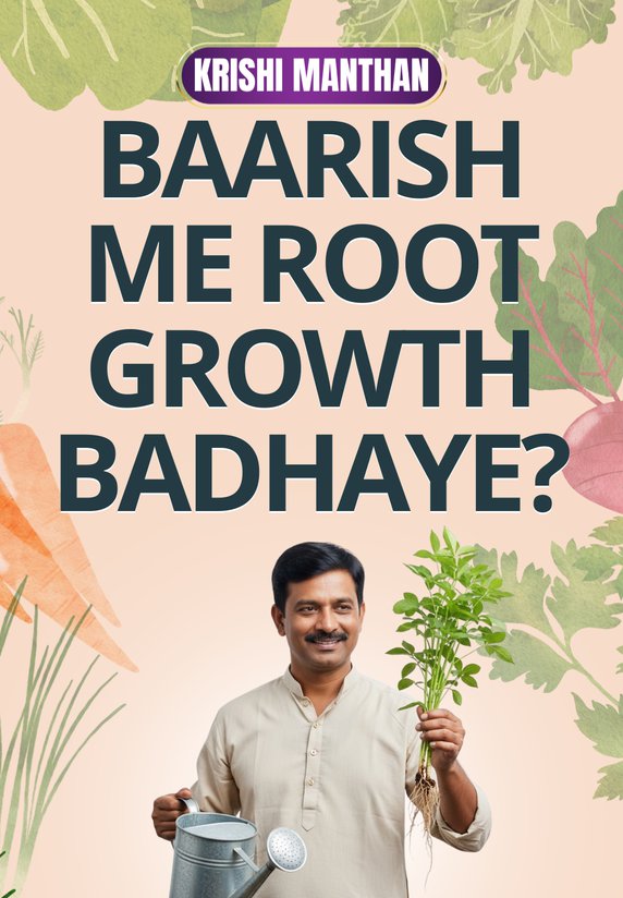 Baarish Me Root Growth Badhaye?