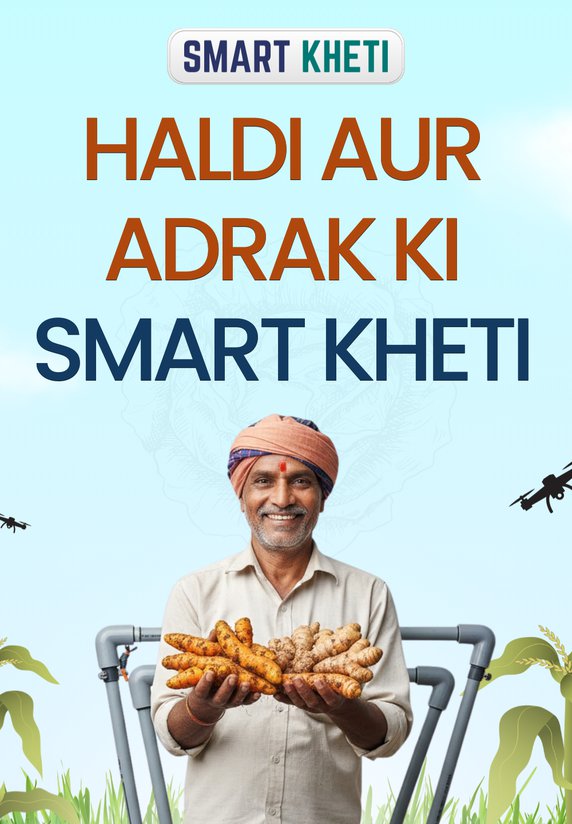 Haldi Aur Adrak Ki Smart Kheti