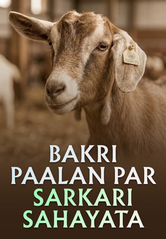 Bakri Paalan Par Sarkari Sahayata