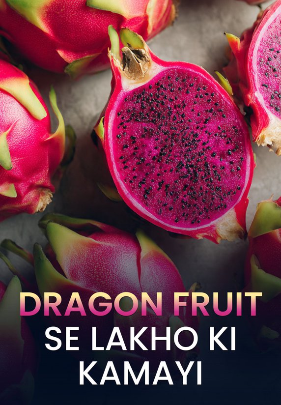 Dragon Fruit Se Lakho Ki Kamayi
