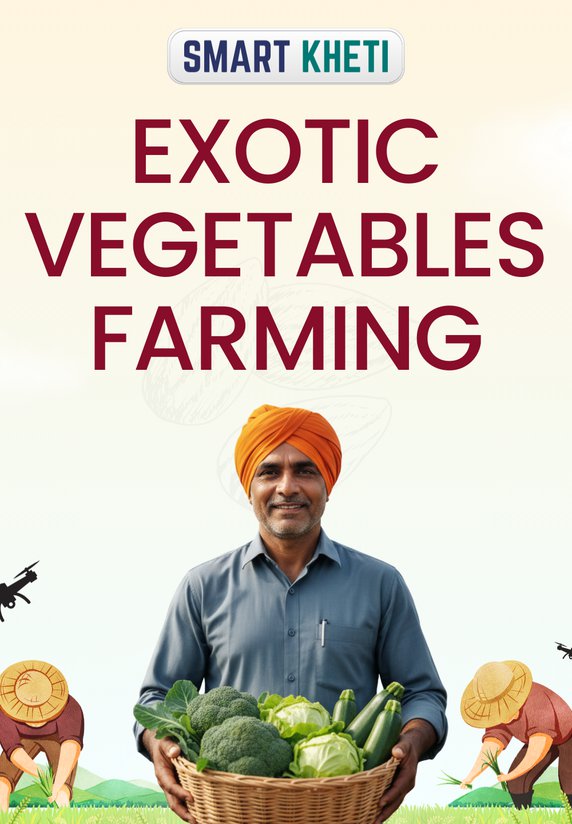 Exotic Vegetables Farming
