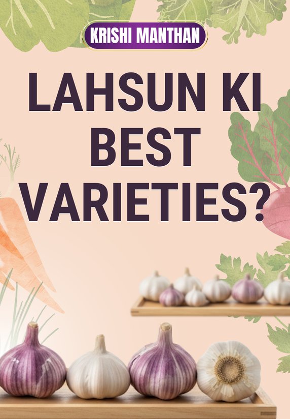 Lahsun Ki Best Varieties?