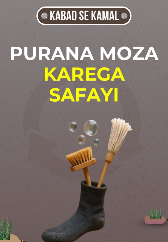 Purana Moza Karega Safayi