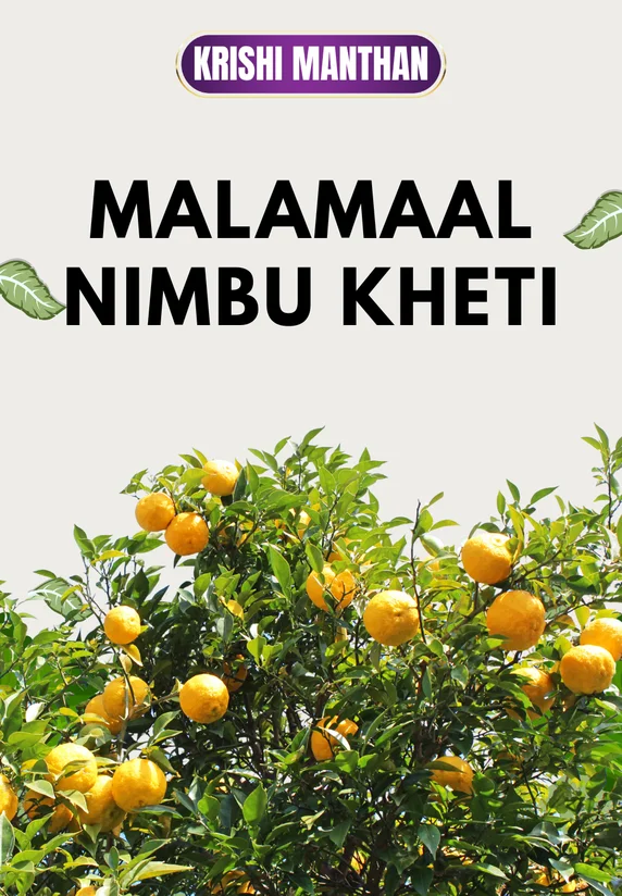 Malamaal Nimbu Kheti