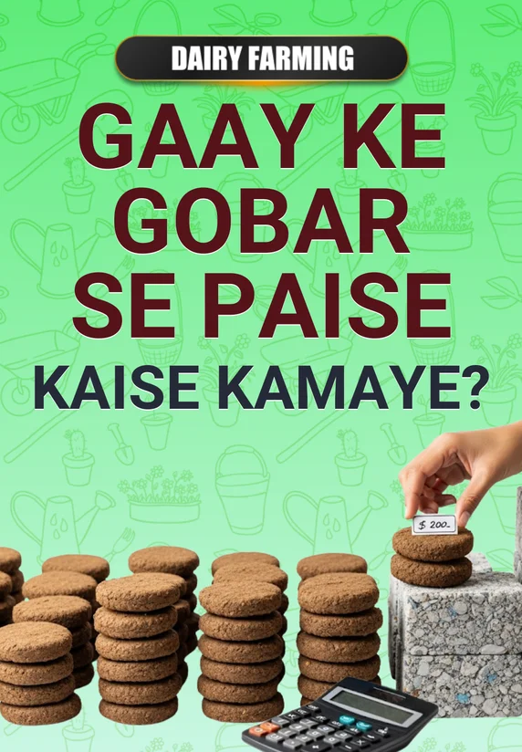 Gaay Ke Gobar Se Paise Kaise-Kamaye