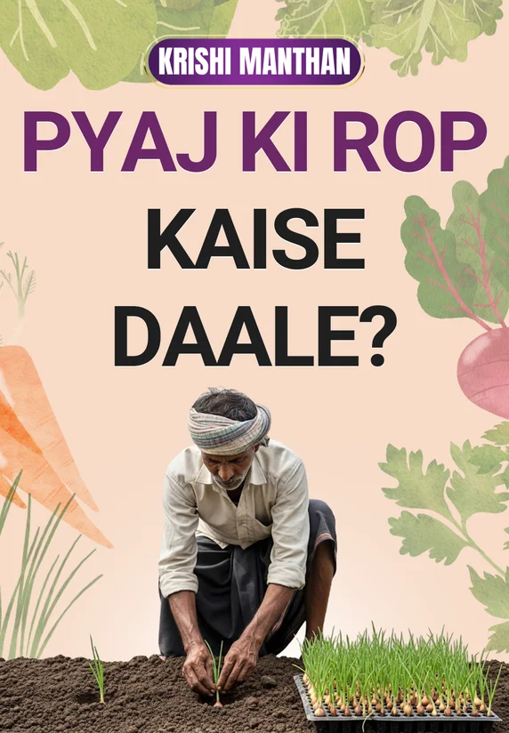 Pyaj Ki Rop Kaise Daale?