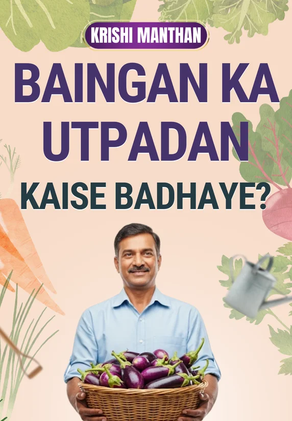 Baingan Ka Utpadan Kaise Badhaye?