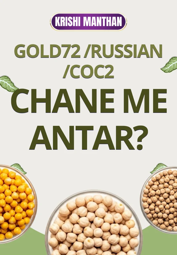 Gold72 /Russian /COC2 Chane Me Antar?
