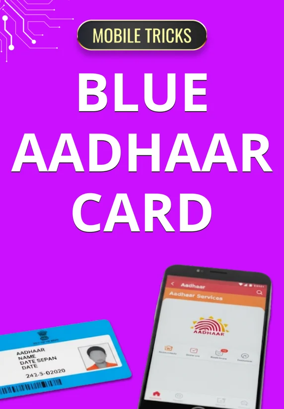 Blue Aadhaar Card