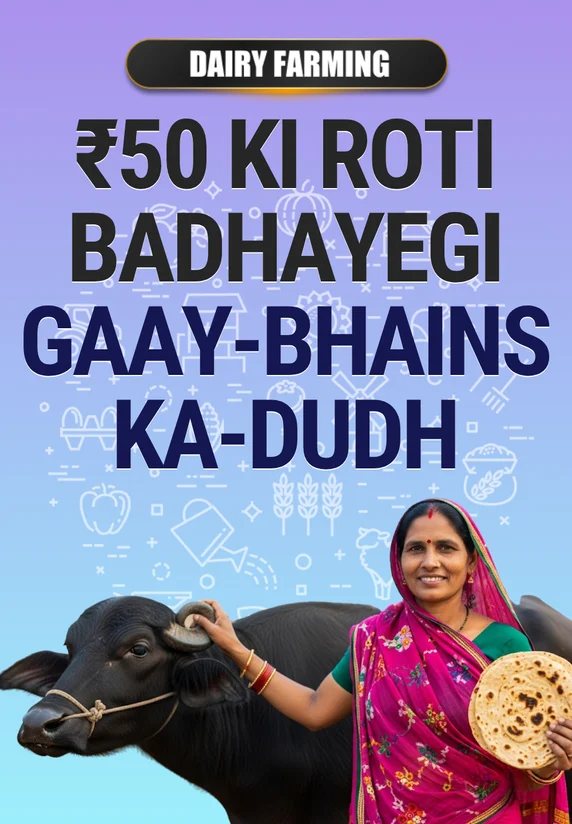 ₹50 Ki Roti Badhayegi Gaay-Bhains Ka Dudh