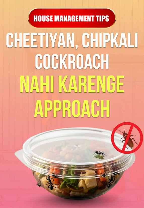 Cheetiyan, Chipkali Cockroach Nahi Karenge Approach