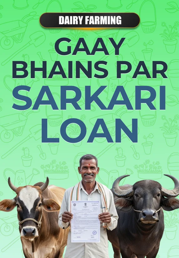Gaay-Bhains Par Sarkari Loan