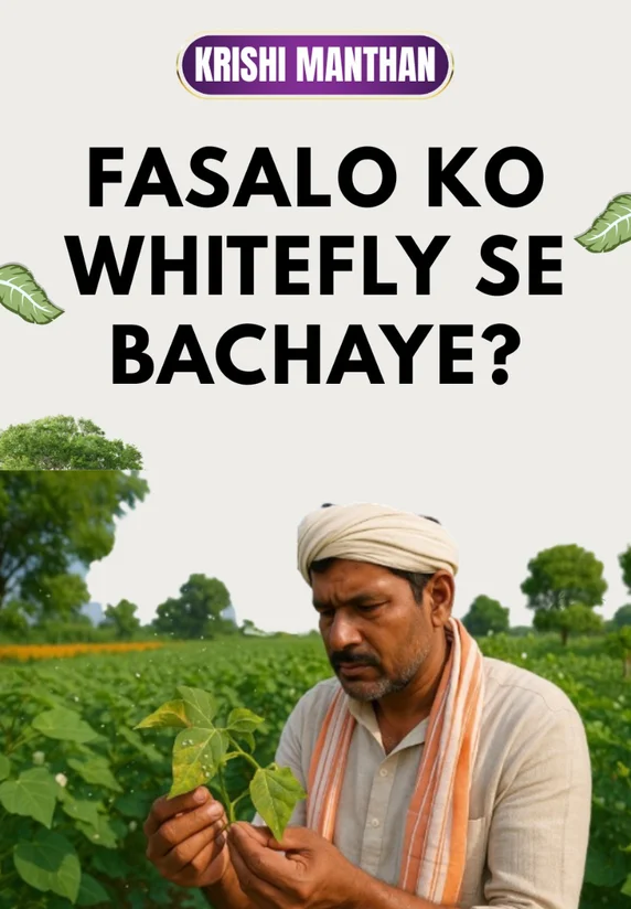 Fasalo Ko Whitefly Se Bachaye?